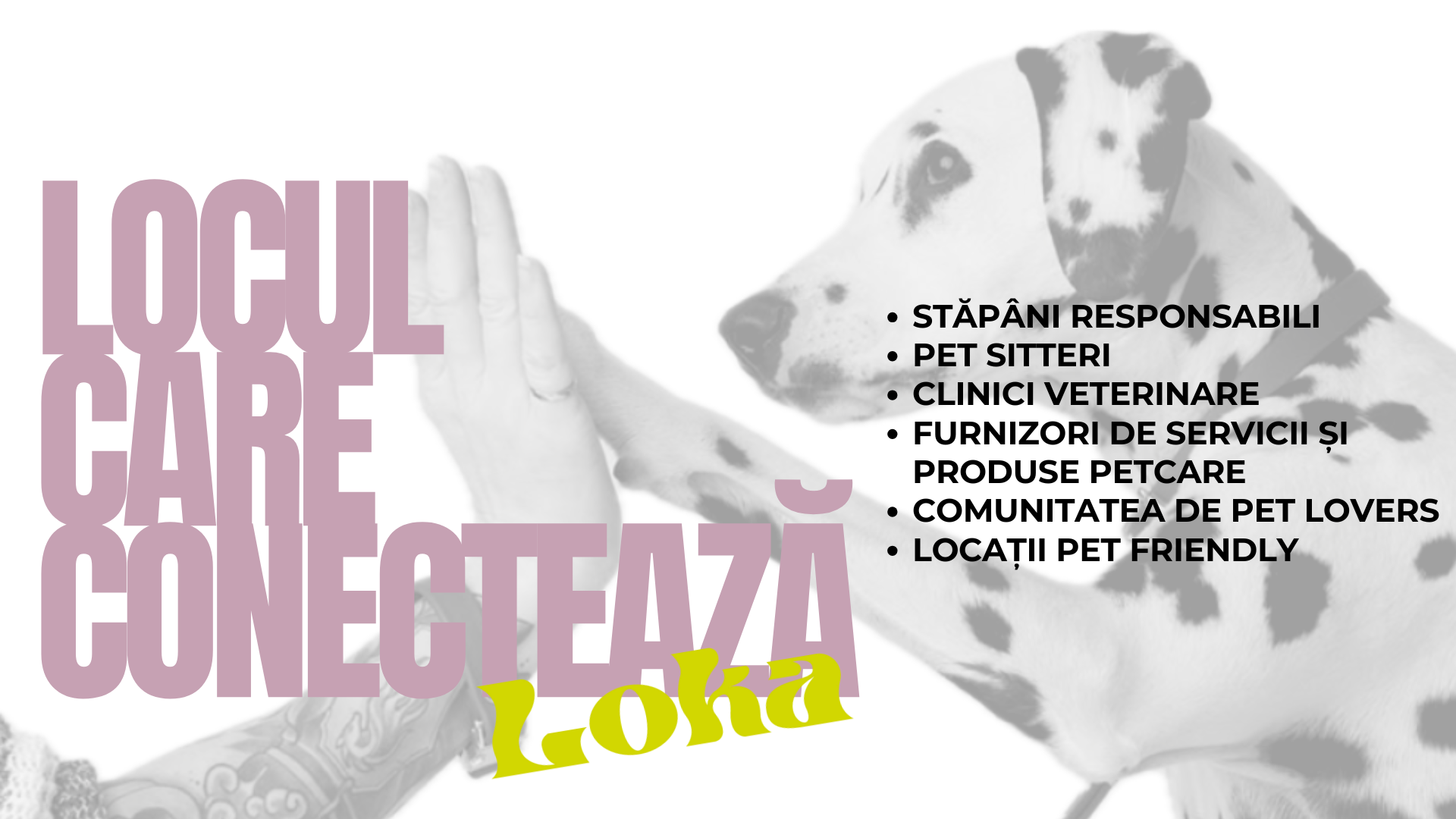 Loka connecteaza comunitatea petcare